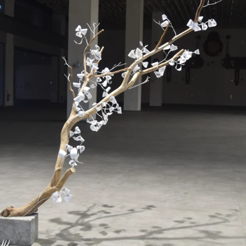 節律06：08，作品夜間照片