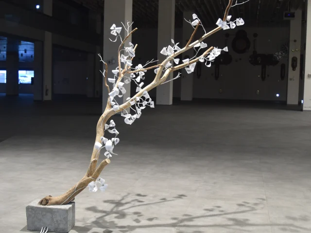 節律06：08，作品夜間照片