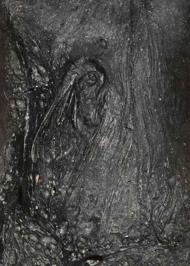 漂浮地層計畫-化石