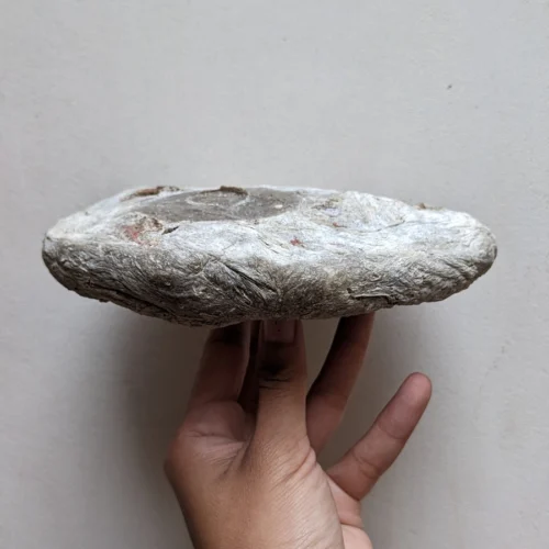 木子一十一工作室_漂浮地層計畫_材質 (1)_结果