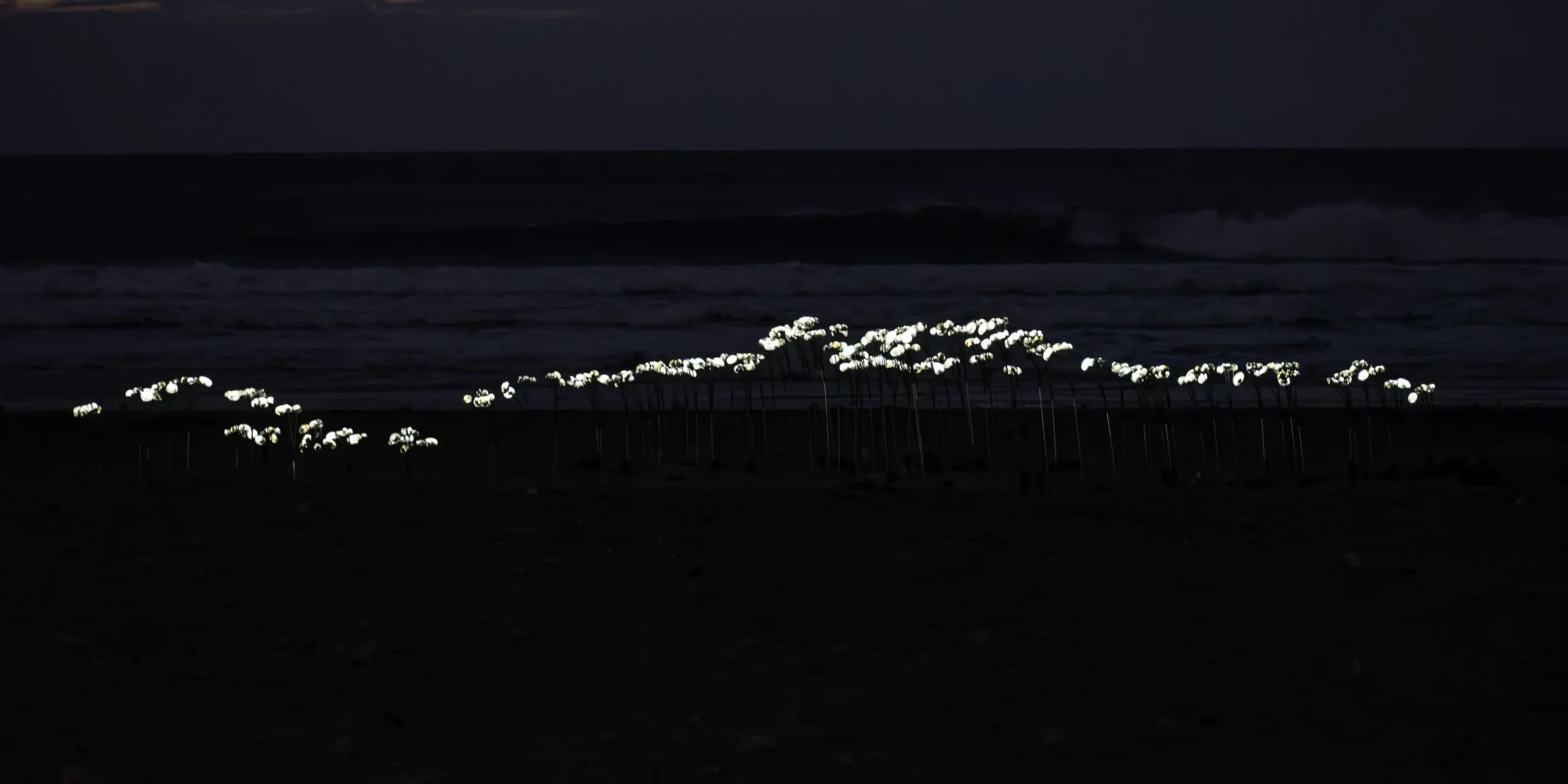 木子一十一_leewang studio_落山風藝術季_晚上全景01 木子一十一工作室於2024年受邀參加落山風藝術季,作品晚上效果