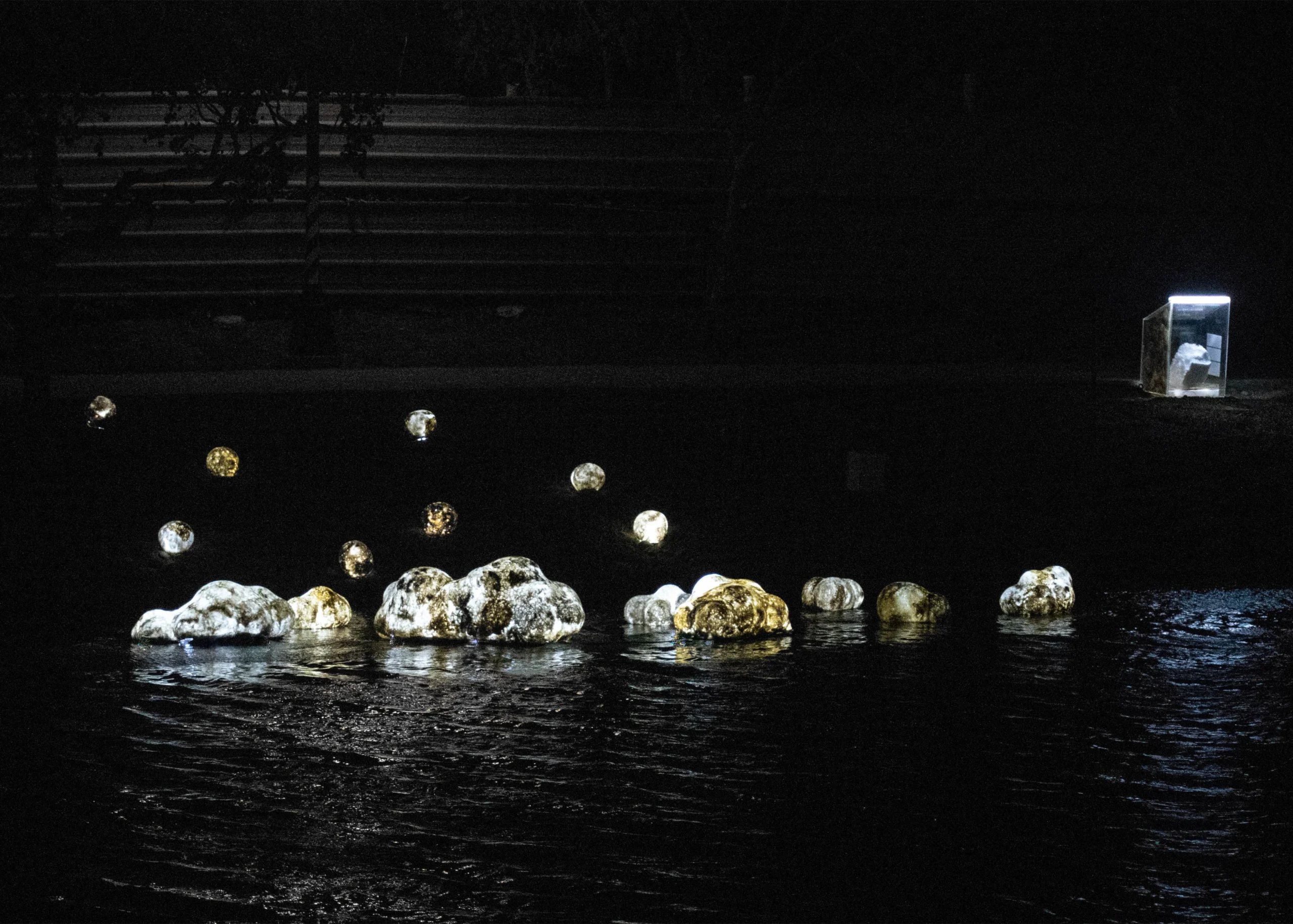 木子一十一_leewang studio_月津港燈節_夜間效果02 木子一十一工作室於2026年參加月津港燈節,夜晚作品效果展示