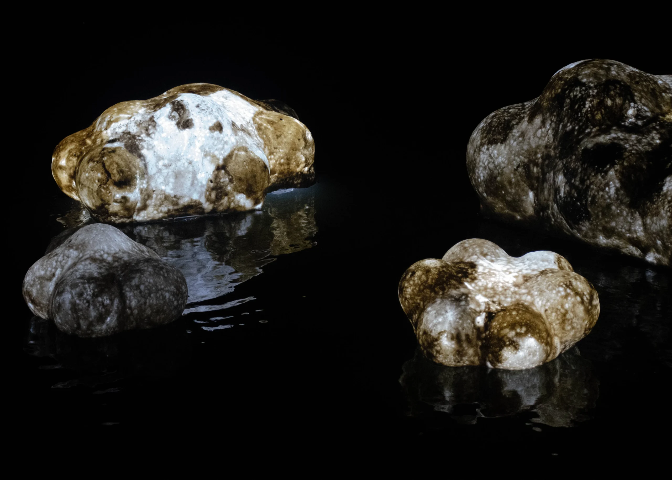 木子一十一_leewang studio_月津港燈節_夜間效果04 木子一十一工作室於2026年參加月津港燈節,夜晚作品效果展示